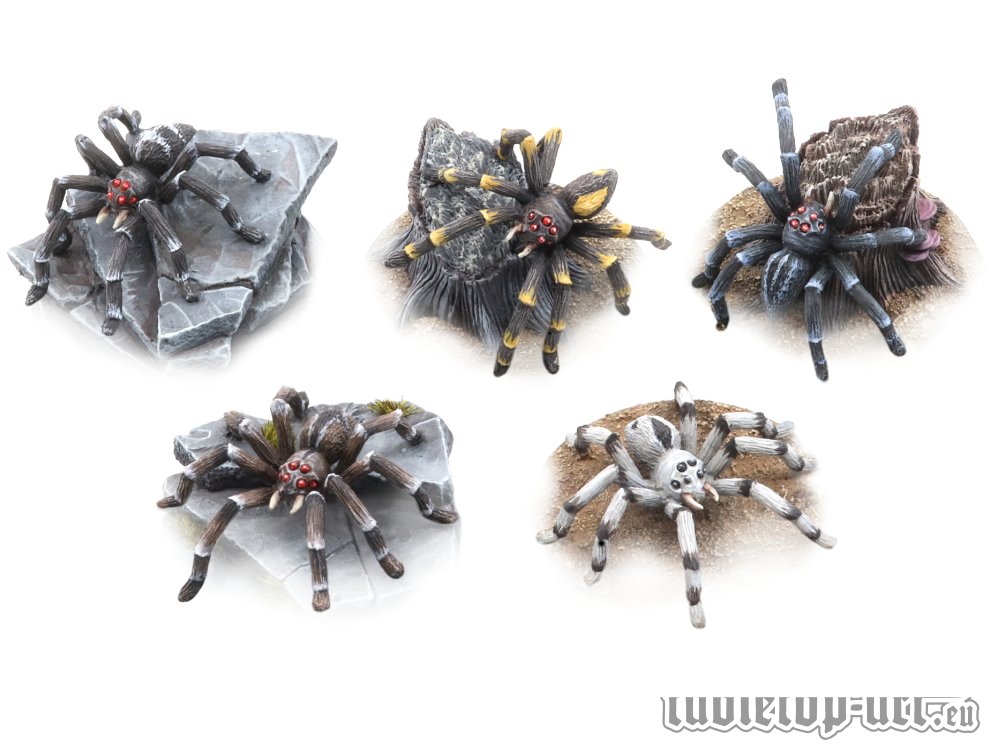 Bild von Riesenspinnen Set (5) Tabletop Art Giant Spider große Spinnen 28mm Miniaturen