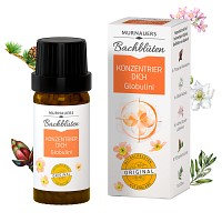 Bild von BACHBLÜTEN Murnauers Konzentrier Dich Globulini 10 g