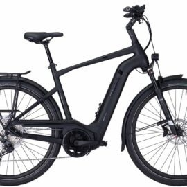Bild von Pegasus Strong Evo 12 Lite 750 Wh Herren schwarz 2022 60 cm