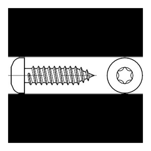 Bild von Linsenblechschrauben ISO 14585 A 2 3;9 x 50 -C -T15