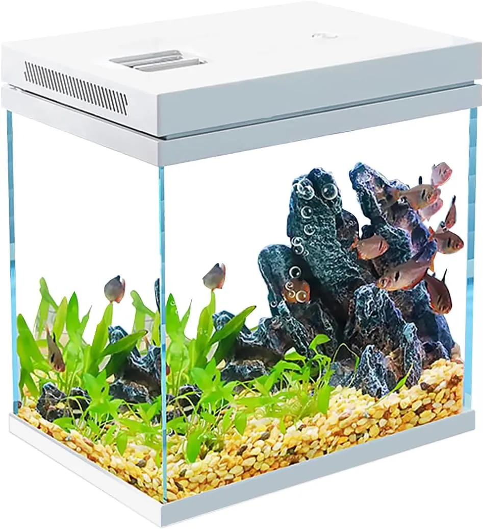 Bild von 16L Nano Glas Fischtank Set mit Licht und Filtersystem