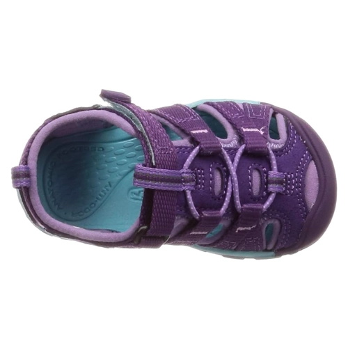 Bild von KEEN, Unisex Kinder Seacamp 2 CNX Sandalen , Bright Cobalt Blue Depths , 29 EU, Keen SEACAMP II CNX C-BRIGHT COBALT/BLUE NA BRIGHT COBALT/BLUE DEPTHS Outdoorsandale