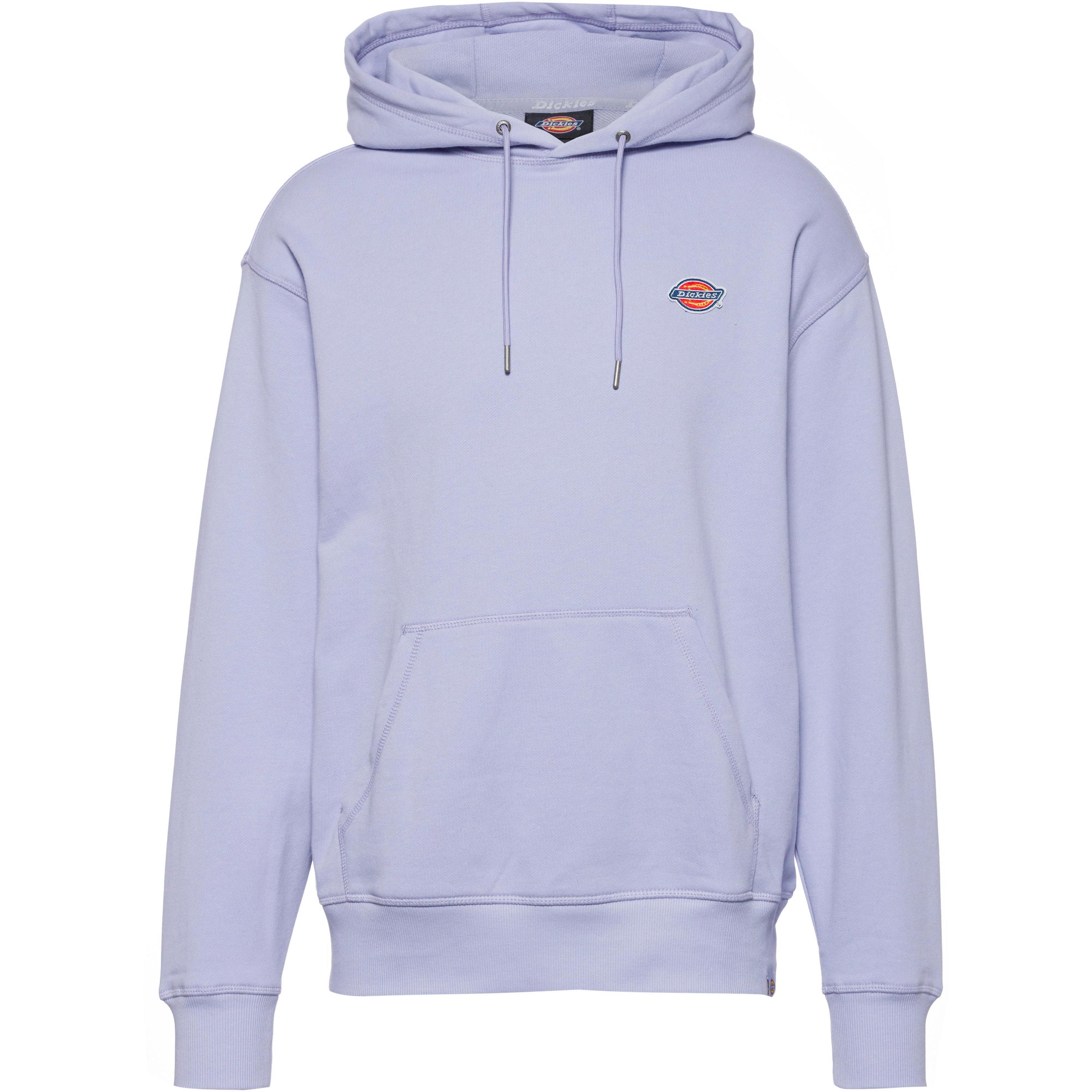 Bild von Dickies Millersburg Hoodie Herren