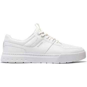 Bild von Timberland Maple Grove LOW LACE UP SNEAKER Sneaker