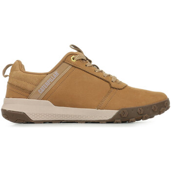 Bild von Caterpillar  Sneaker Hex Ready Low