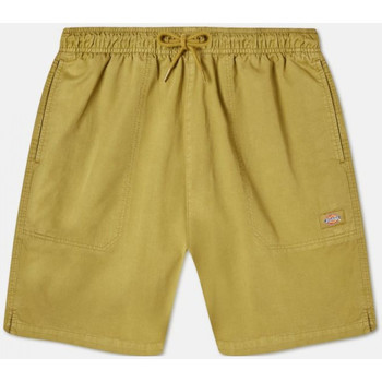 Bild von Dickies Shorts Dickies Herren Shorts Pelican Rapids