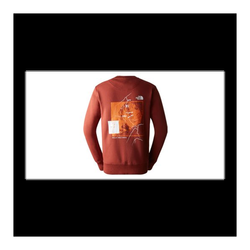 Bild von The North Face Outdoor Graphic Sweatshirt Braun