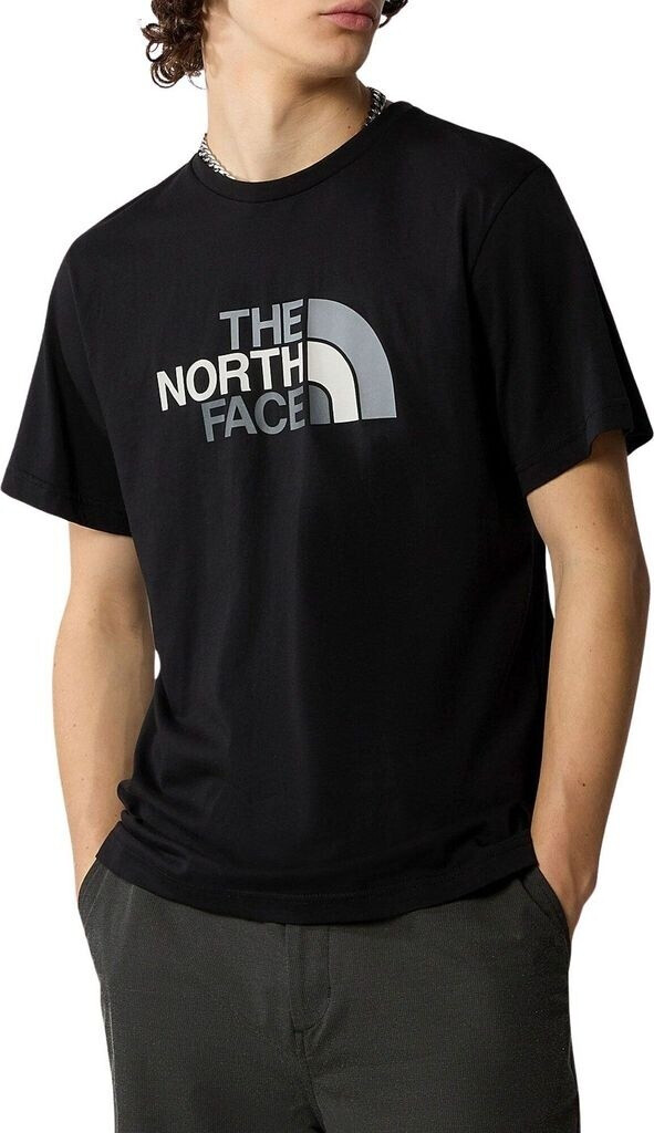 Bild von The North Face Easy T-Shirt für Herren (87N5)