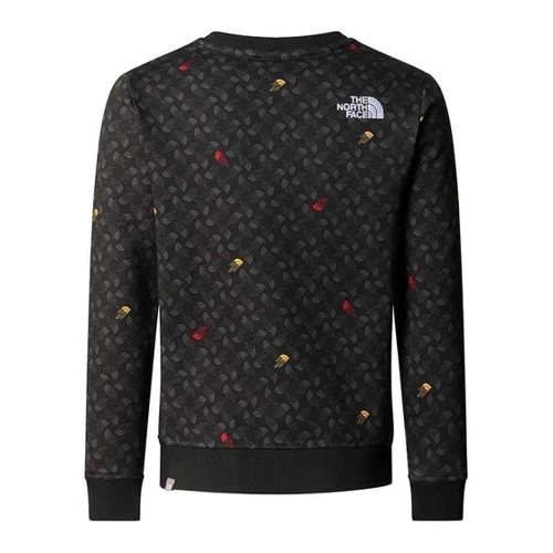 Bild von The North Face Kinder B Drew Peak Light Crew Print Pullover