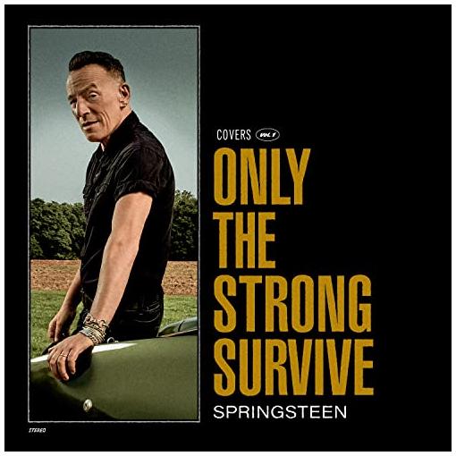 Bild von Bruce Springsteen - Only The Strong Survive (2-LP)
