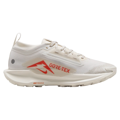 Bild von Nike Pegasus Trail 5 GTX Women