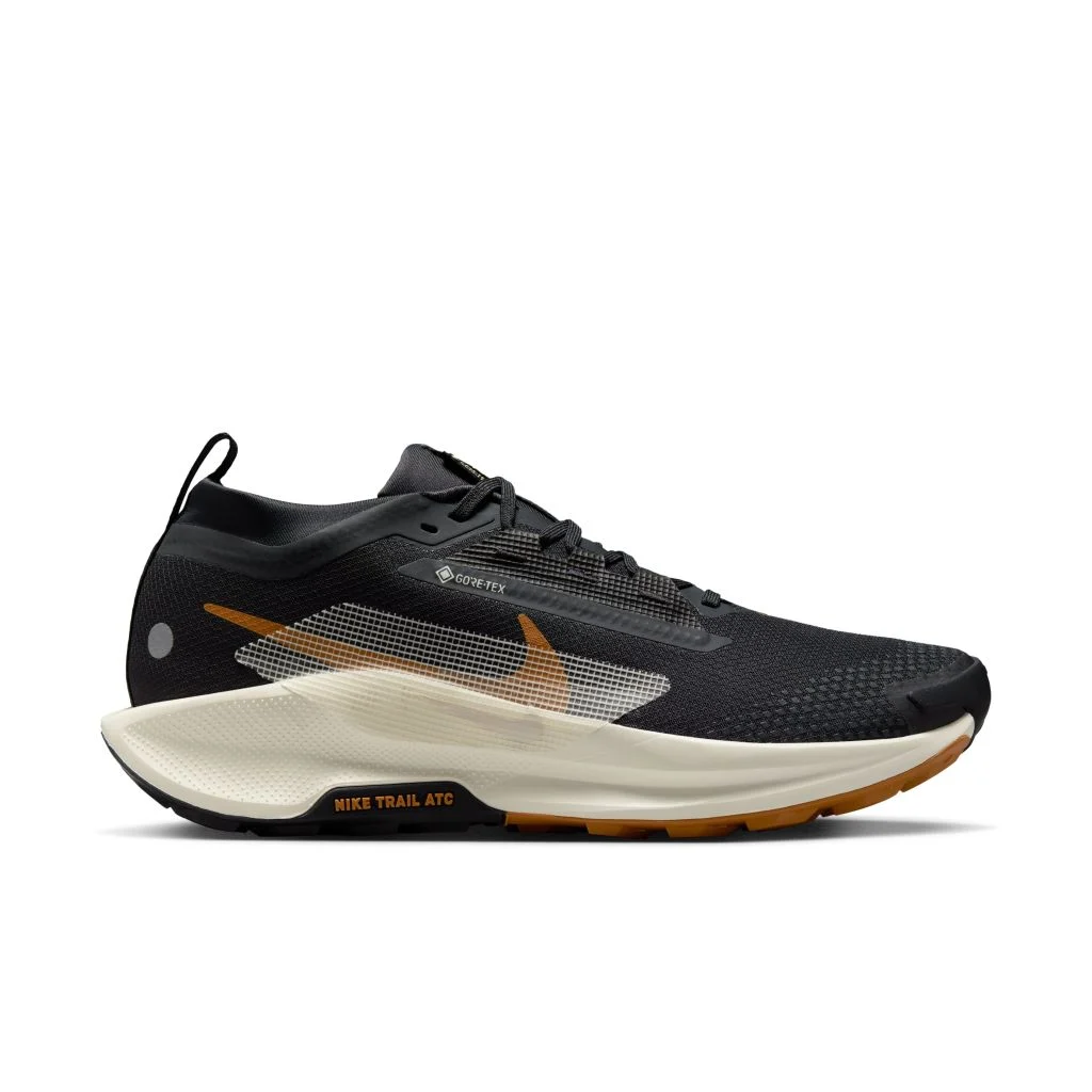Bild von NIKE Pegasus Trail 5 GORE-TEX Trailrunning-Schuhe Herren 007 - off noir/pale ivory-black-monarch 40