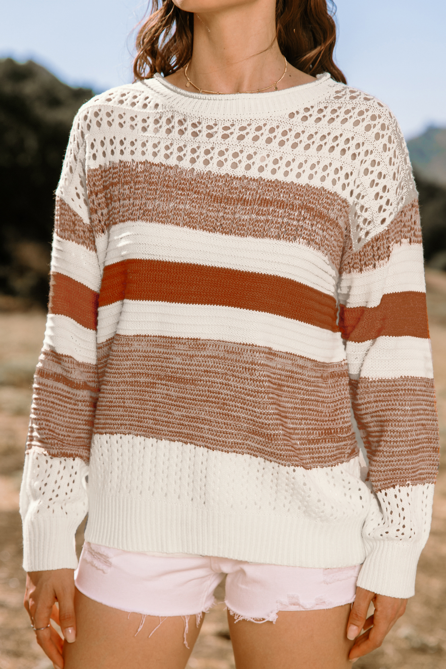 Bild von Colorblock Pullover mit Rundhalsausschnitt und langen Ärmeln