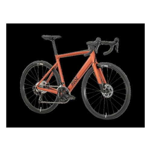 Bild von ROSE Reveal AL 105 – Ideal für lange Touren