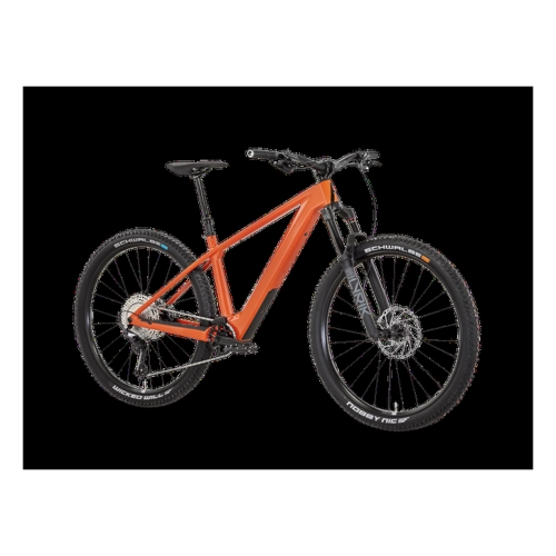 Bild von ROSE Bonero Plus 1 – E-Bike für vielseitige Abenteurer
