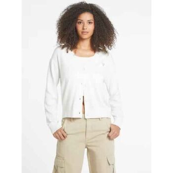 Bild von Guess  Pullover W4BR16 Z3HO2-G293