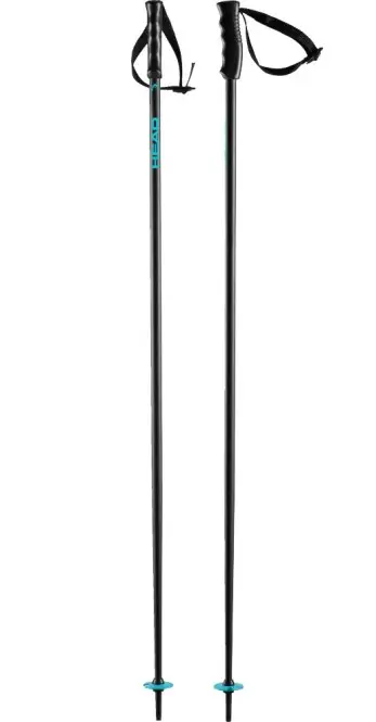 Bild von HEAD MULTI PERFORMANCE Stöcke 2025 black/speed blue - 110