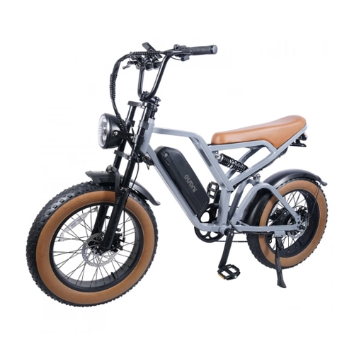 Bild von EUENI FXH009 Pro Elektrofahrrad Testbericht