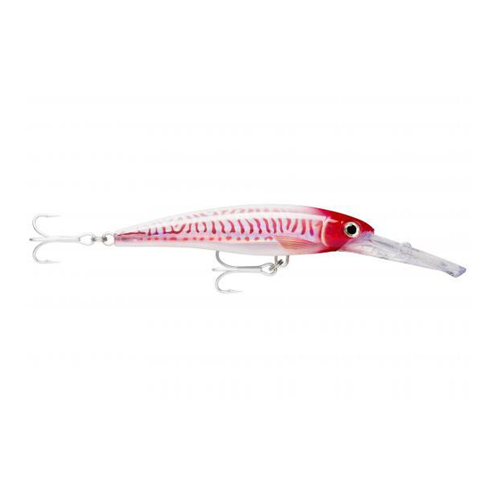 Bild von Schwimmender Köder Rapala X-Rap® Magnum® 16cm