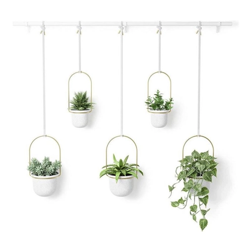 Bild von Umbra Triflora - Die innovative Hängeampel für Ihre Pflanzen