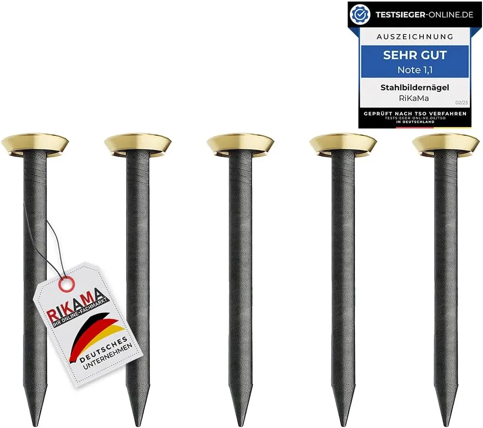 Bild von 30 Bildernägel mit 25 mm Länge aus gehärtetem Stahl für Beton, Ziegelstein, Putz und Holz, Made in Europe
