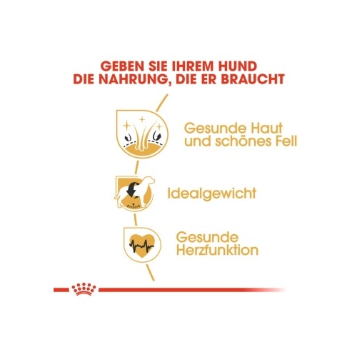 Bild von Royal Canin Cocker Adult 3 kg - Hochwertiges Hundefutter für Cocker Spaniels