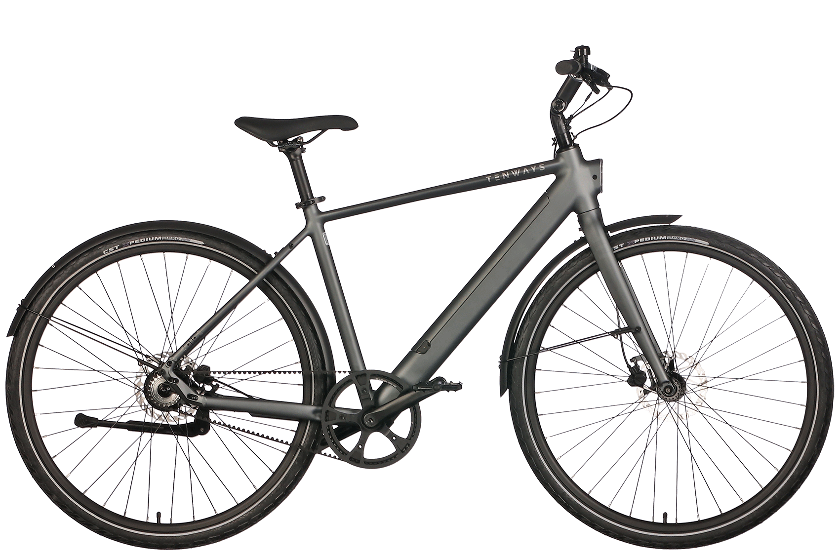 Bild von Tenways CGO600Pro 360Wh Herren grau 2024