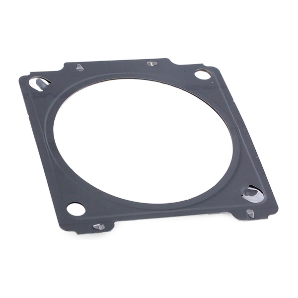 Bild von WALKER 82133 Dichtung, Abgasrohr hinten, mitte, vorne FIAT: Punto Evo Hatchback