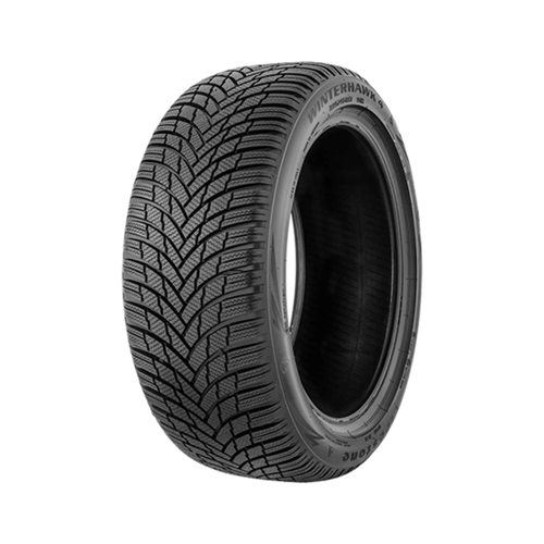 Bild von 255/50R19*V WINTERHAWK 4 107V XL