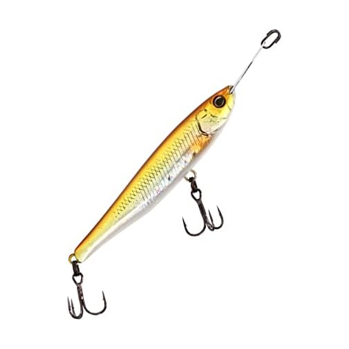 Bild von ILLEX Riser Bait 7cm 8g Bright Kibinago – Der perfekte Köder für Oberflächenangeln