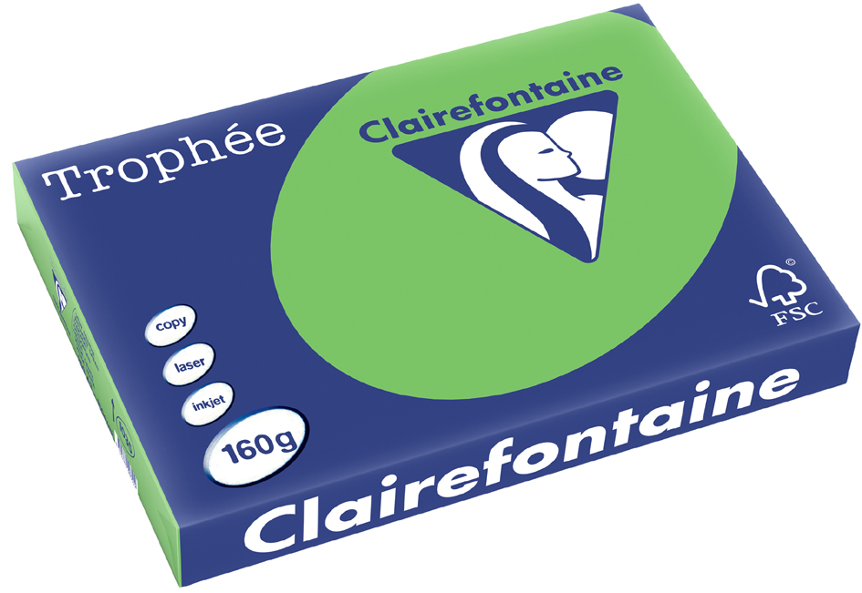 Bild von 4 x Clairefontaine Kopierpapier Trophee A3 160g/qm VE=250 Blatt blaßgr