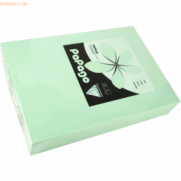 Bild von 4 x Clairefontaine Multifunktionspapier Papago A4 210x297mm 160g/qm gr
