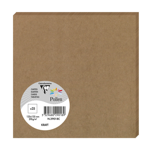 Bild von Pollen by Clairefontaine Doppelkarte 135 mm, Kraft braun - Produktcheck