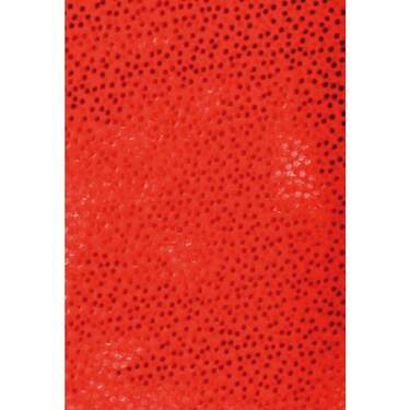 Bild von Clairefontaine Premium Geschenkpapier fest, rot, 1 Rolle, sortiert