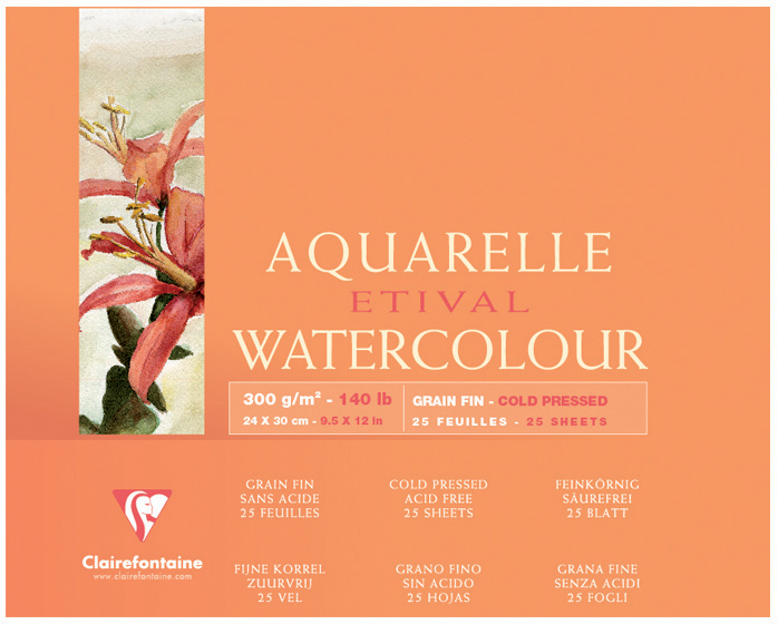 Bild von Clairefontaine, Bastelpapier, Feuchte Techniken (300 g/m², 48 x)