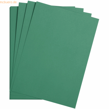 Bild von CLAIREFONTAINE Bastelkartonpapier Bastelkarton Maya 185g/qm A3 VE=25 Blatt tannengrün