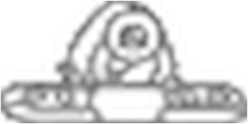 Bild von BOSAL Gummistreifen, Abgasanlage Universal  für VW 1H0253144A 357253144E 357253144C 255-025