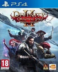 Bild von Divinity: Original Sin 2