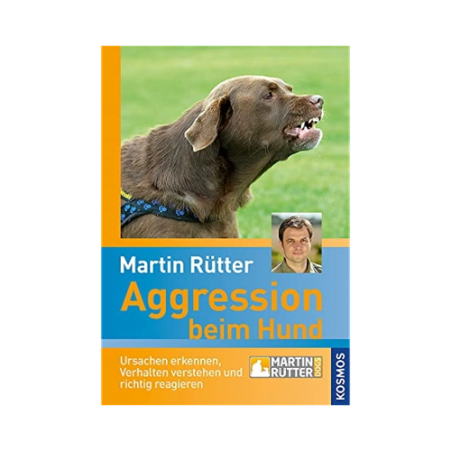 Bild von Aggression beim Hund