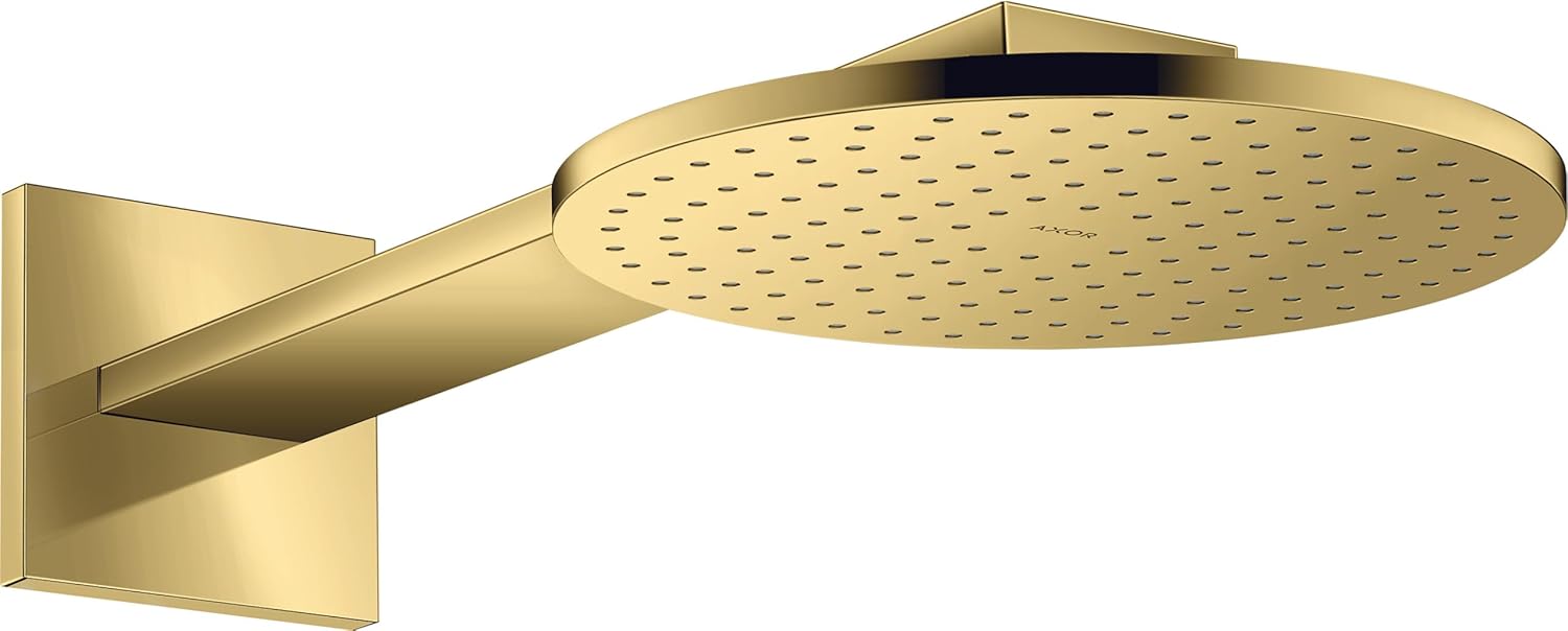 Bild von Kopfbrause, Brausearm	Brausekopfgröße 250 mm	Brausearmlänge 450 mm	Wandmontage	Strahlart PowderRain	Durchflussmenge PowderRain (bei 3 bar) 19 l/min	dynamische Strahldüsen fahren im Betrieb aus	Oberfläche Strahlscheibe: vollverchromte Strahlscheibe	Material Strahlscheibe: Metall	Kopfbrause zur Reinigung abnehmbar	ServiceCard mit Sieb und Durchflussbegrenzer kann zur Reinigung ohne Werkzeug entnommen werden	Anschlussgewinde G 1/2	Anschlussgröße DN15