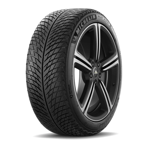 Bild von 255/45R20*V PIL ALPIN 5 SUV 105V XL *