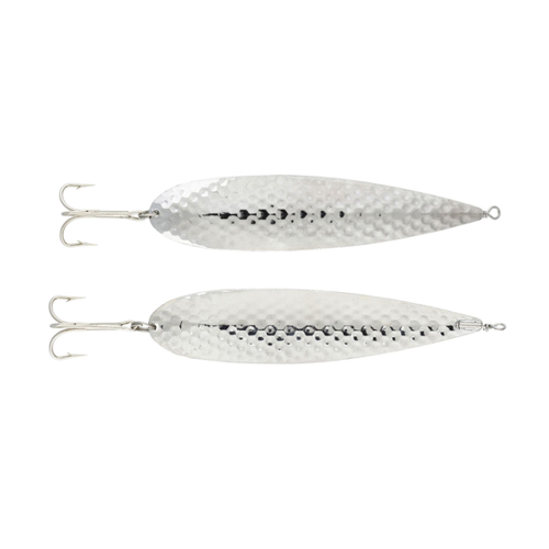 Bild von Ragot Mackerel Spoon - Meeresblinker im Test
