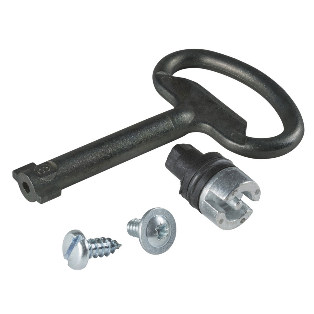 Bild von Schneider Electric NSYTDBCRN Einsatz 3 mm Doppelriegel-Wandgestaltung