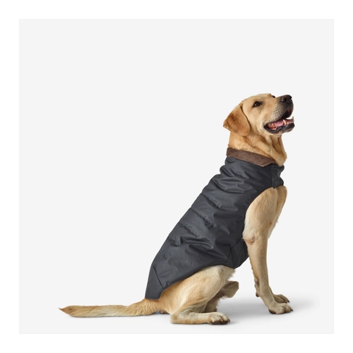 Bild von Hundeweste warm grau
