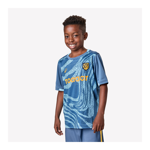 Bild von Kinder Fußball Trikot kurzarm - VIRALTO Kids Roarrr Cheetah blau/grau