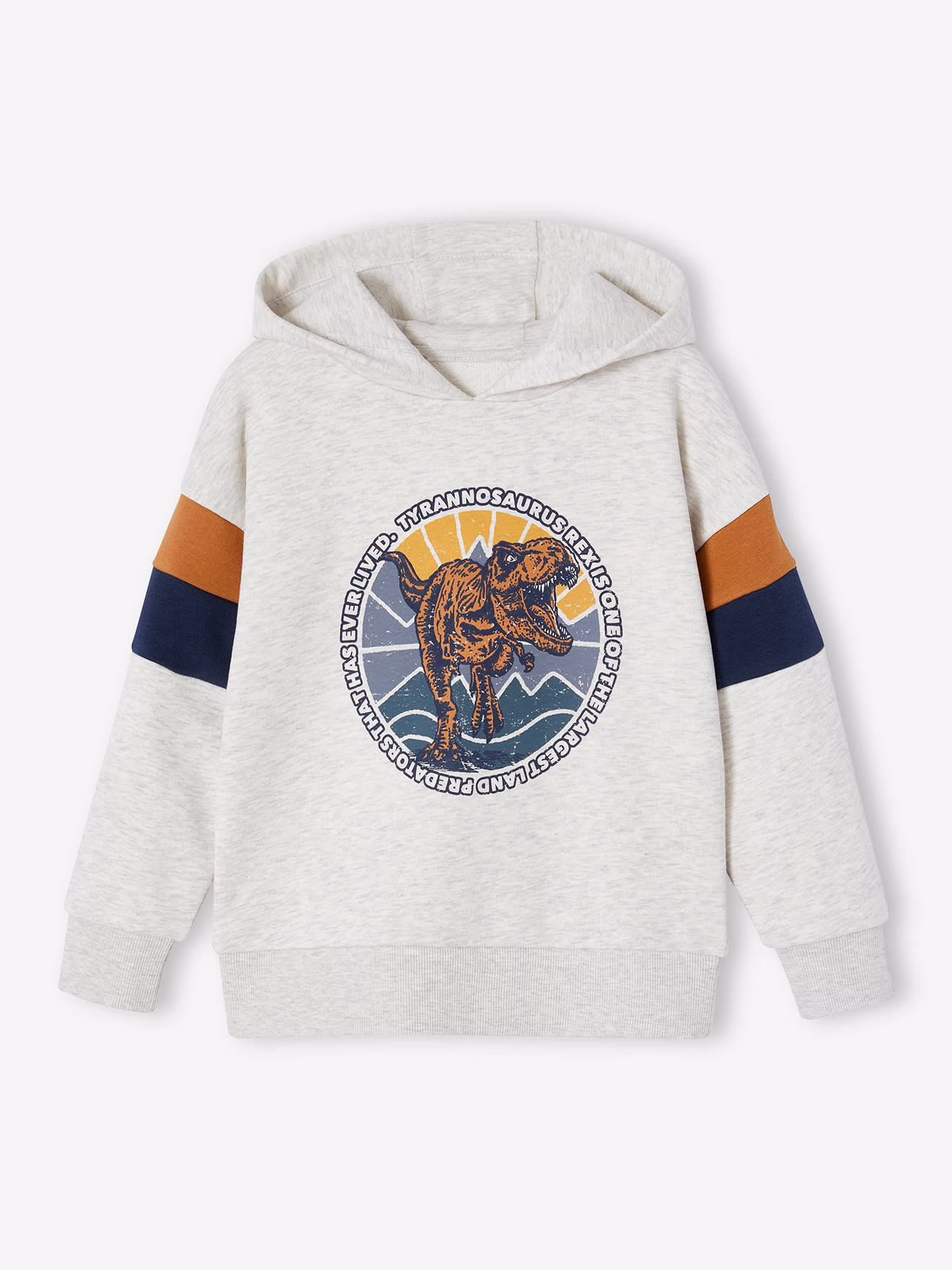 Bild von Jungen Kapuzensweatshirt mit Colorblock-Ärmeln