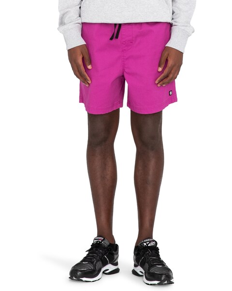 Bild von Element Shorts »Valley Twill«