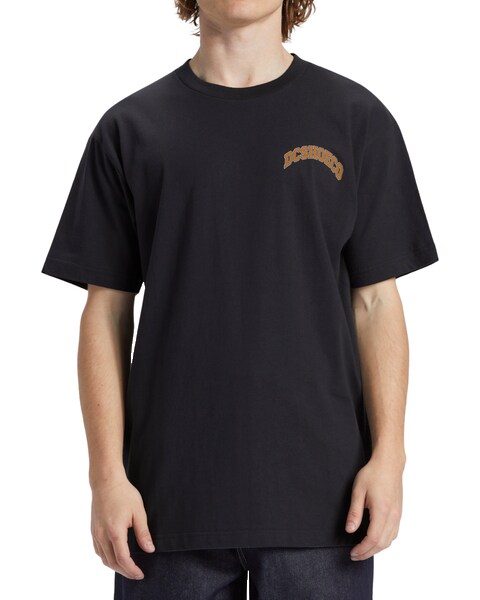 Bild von DC Shoes T-Shirt »Orientation«