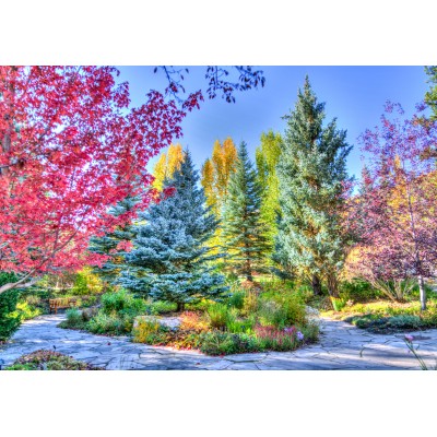 Bild von Grafika Kids Bunter Wald, Colorado, USA 12 Teile Puzzle Grafika-F-31540