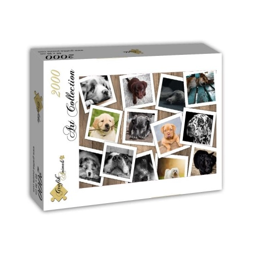 Bild von Grafika Hunde 2000 Teile Puzzle – Ein fesselndes Erlebnis für Puzzle-Fans